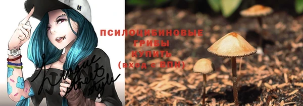 дживик Краснотурьинск