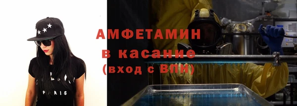 шишки Шадринск