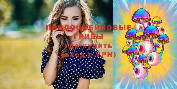 прущая мука Краснослободск