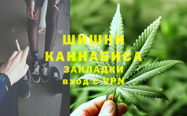 PSILOCYBIN Красноперекопск