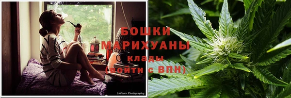 PSILOCYBIN Красноперекопск